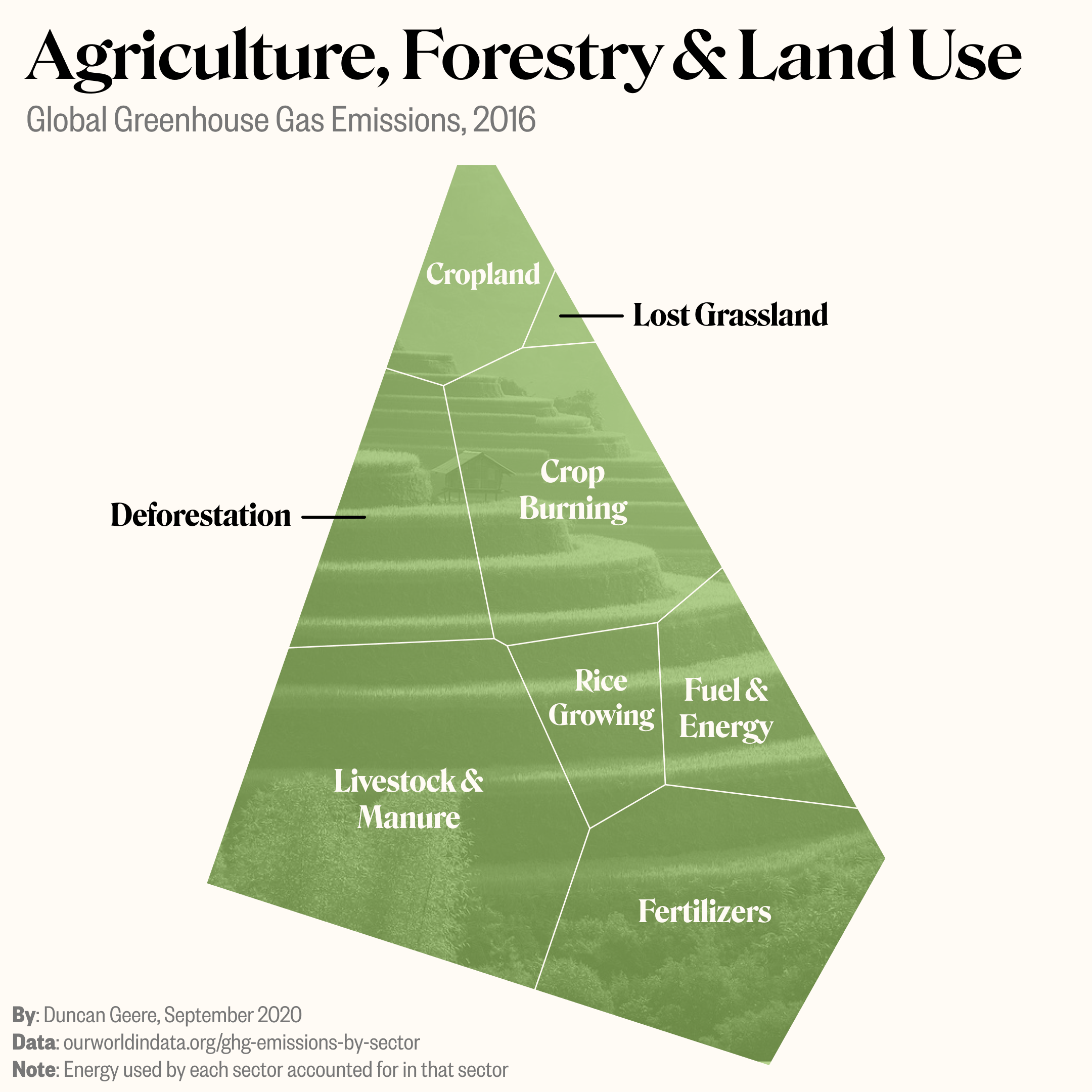 Agriculture, forestry and land use emissions, 2016